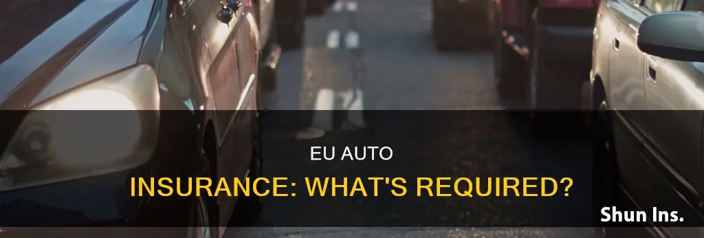 are people required to carry auto liability insurance in eu