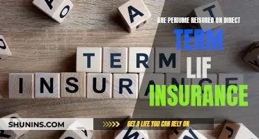 Perium Reinsurance: Direct Term Life Insurance's Impact