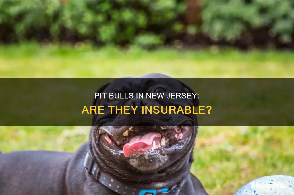 are pit bulls insurable in new jersey