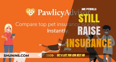 The Truth About Pitbulls and Home Insurance Policies