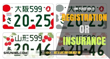 How Plates, Registration, and Insurance Are Linked