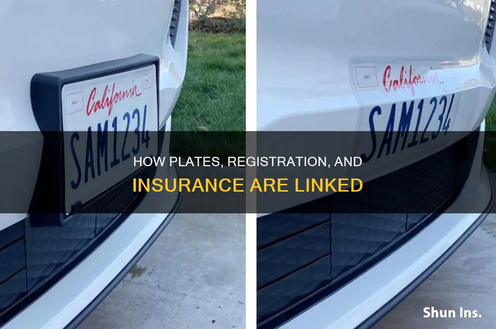 are plates tied to registration or insurance