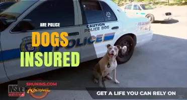 Police Dogs: Are They Covered by Insurance?
