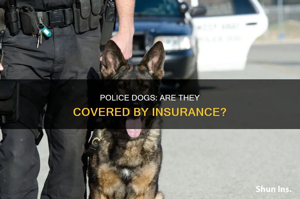 are police dogs insured