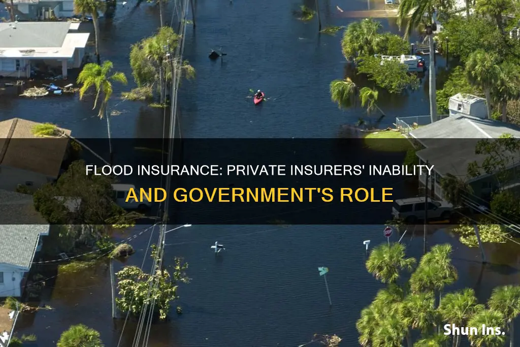 are private insurers not capable of writing flood insurance