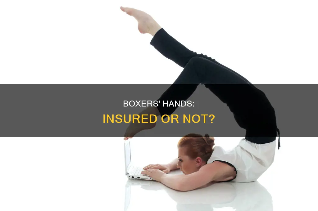 are pro boxers hands insured