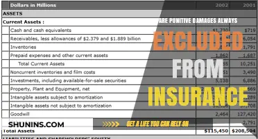 Punitive Damages: Are You Insured or Uncovered?