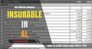 Alabama Punitive Damages: Are They Insurable?