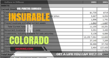 Colorado Punitive Damages: Are They Insurable?