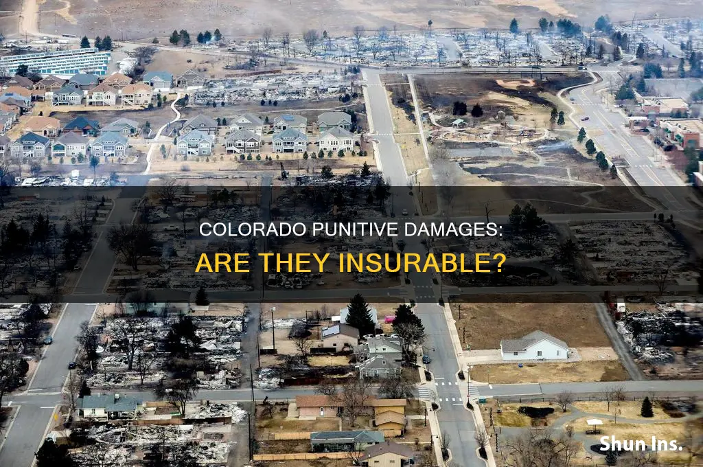 are punitive damages insurable in colorado