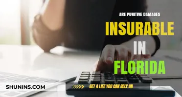 Punitive Damages in Florida: Are They Insurable?