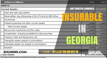 Punitive Damages in Georgia: Are They Insurable?