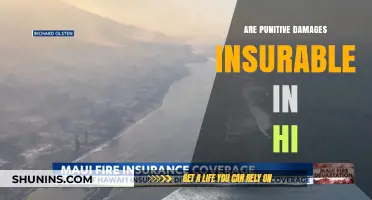 Hawaii's Insurability of Punitive Damages: What's the Verdict?
