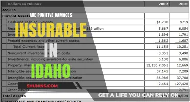 Punitive Damages in Idaho: Are They Insurable?