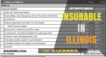Punitive Damages in Illinois: Are They Insurable?