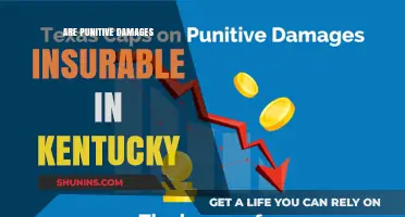 Punitive Damages in Kentucky: Are They Insurable?