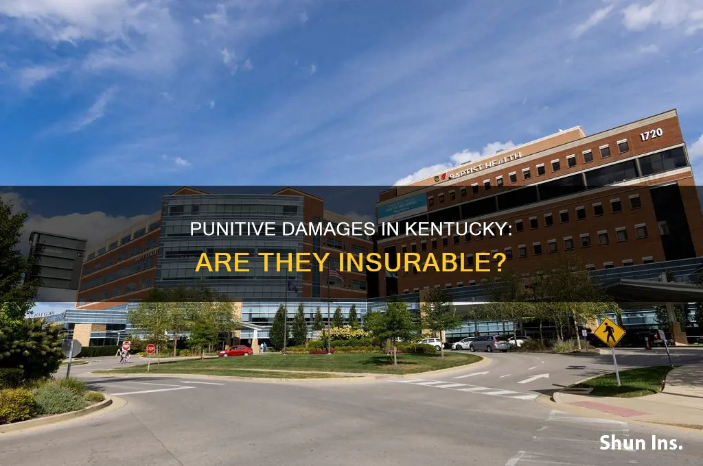 are punitive damages insurable in kentucky