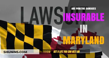 Punitive Damages in Maryland: Are They Insurable?