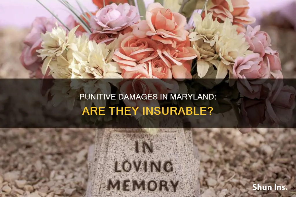 are punitive damages insurable in maryland
