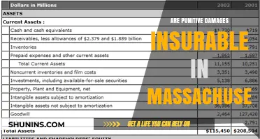 Punitive Damages in Massachusetts: Are They Insurable?