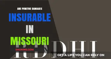 Missouri Punitive Damages: Are They Insurable?
