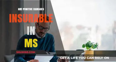Punitive Damages: Are They Insurable in Mississippi?