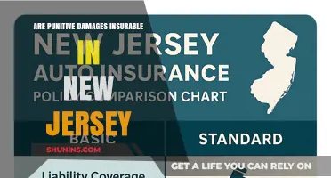 Understanding Punitive Damages Insurance in New Jersey