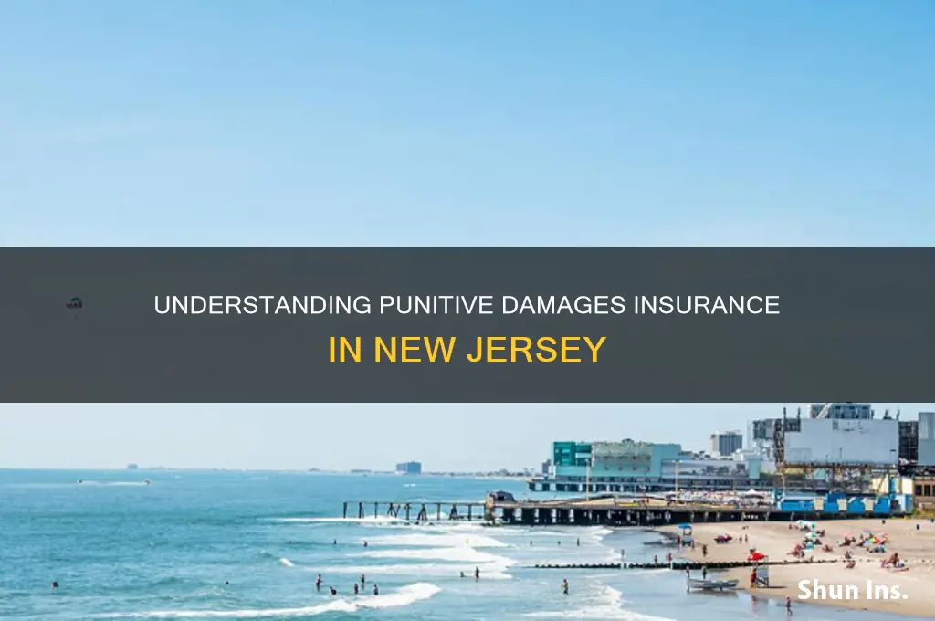 are punitive damages insurable in new jersey