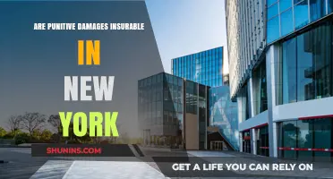 Understanding Punitive Damages Insurance Coverage in New York