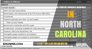 Punitive Damages in North Carolina: Are They Insurable?
