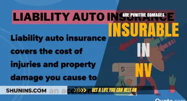 Punitive Damages in Nevada: Are They Insurable?
