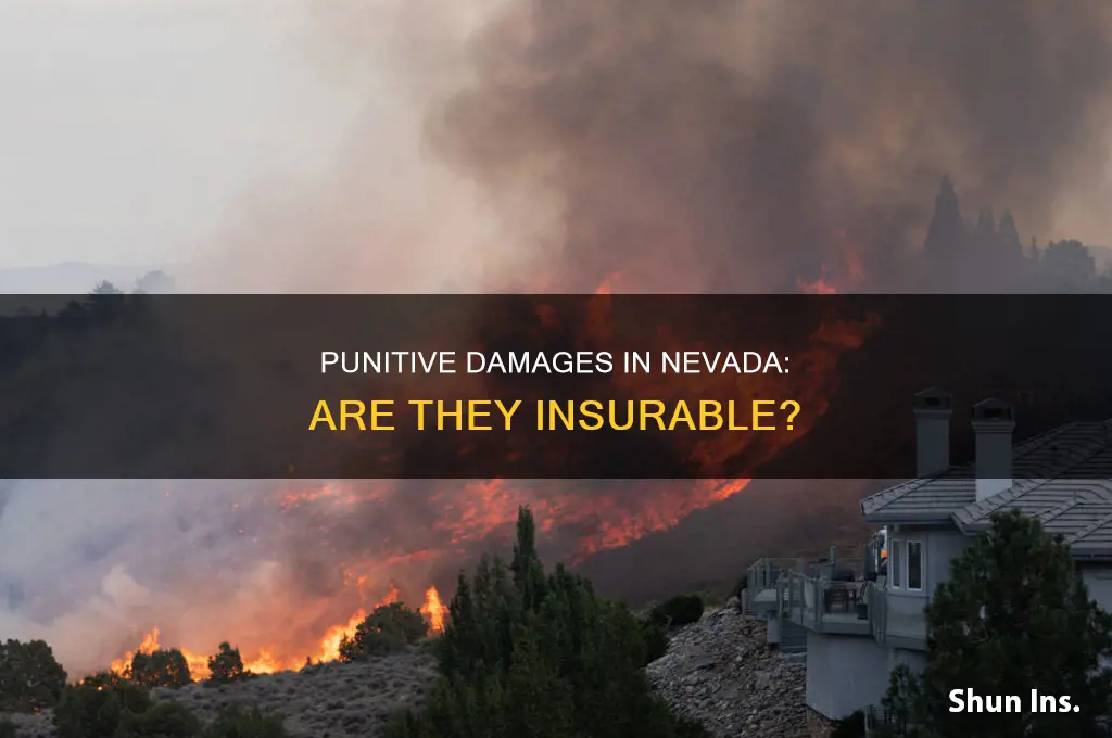 are punitive damages insurable in nv