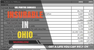 Punitive Damages in Ohio: Are They Insurable?