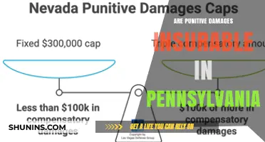 Pennsylvania Punitive Damages: Are They Insurable?