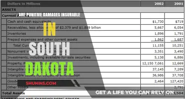 South Dakota: Insuring Punitive Damages?