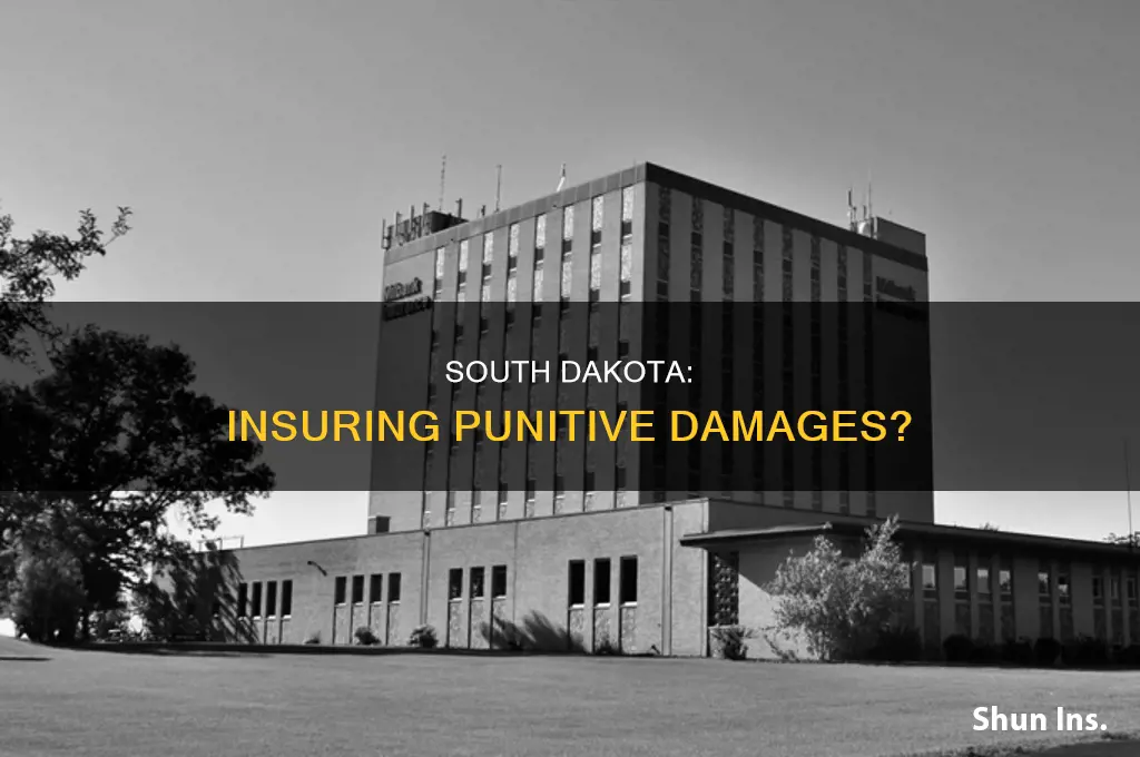 are punitive damages insurable in south dakota