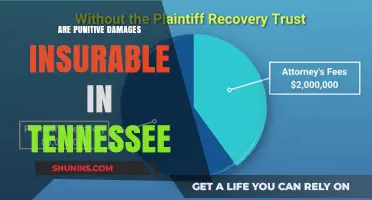 Tennessee Punitive Damages: Are They Insurable?