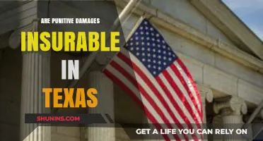 Are Punitive Damages Insurable in Texas? Legal Insights Explained