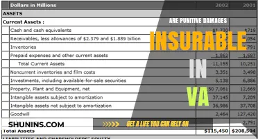 Virginia's Punitive Damages: Are They Insurable?