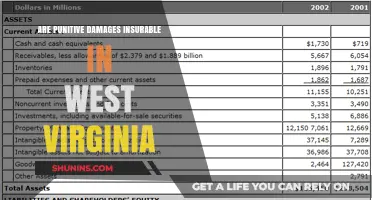 Punitive Damages in West Virginia: Are They Insurable?