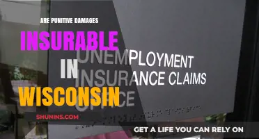 Wisconsin Punitive Damages: Are They Insurable?