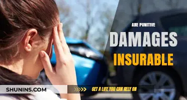 Are Punitive Damages Insurable? Exploring Legal and Insurance Perspectives
