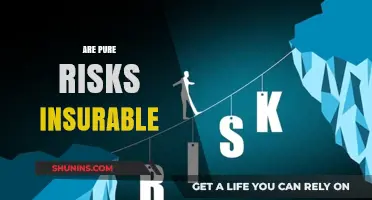 Understanding Insurable Risks and Pure Risks