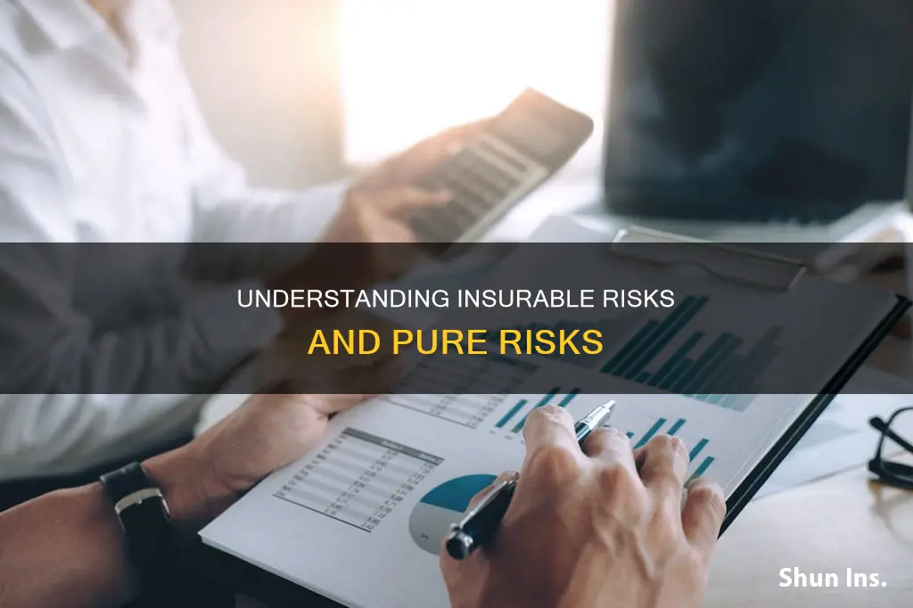 are pure risks insurable