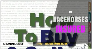 Racehorses: Insured for Their Worth