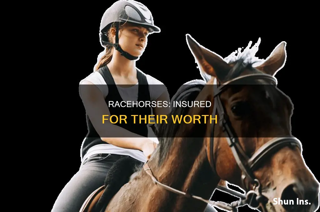 are racehorses insured