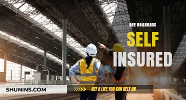 Railroad Insurance: Who Covers the Risks?