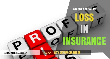 Understanding Insurance Risks and Potential Losses