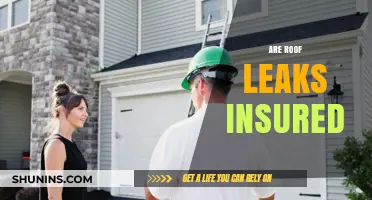 Roof Leaks: Are They Covered by Home Insurance?