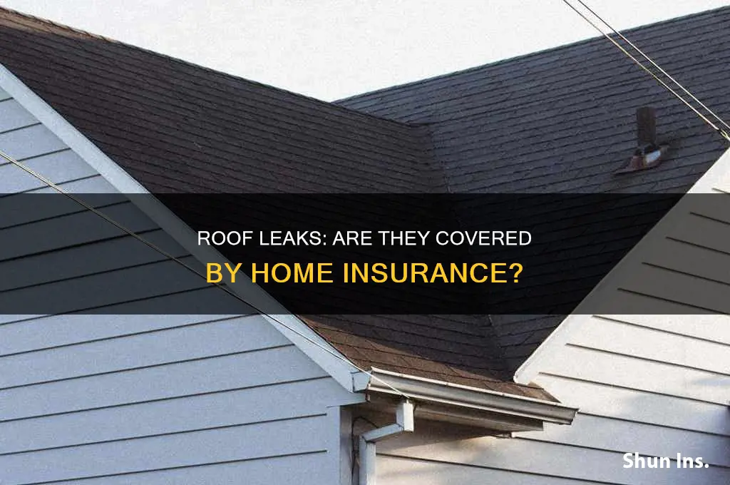 are roof leaks insured